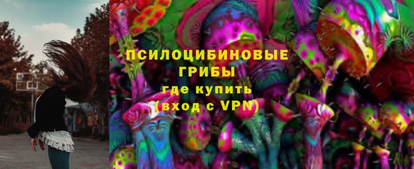 PSILOCYBIN Абдулино