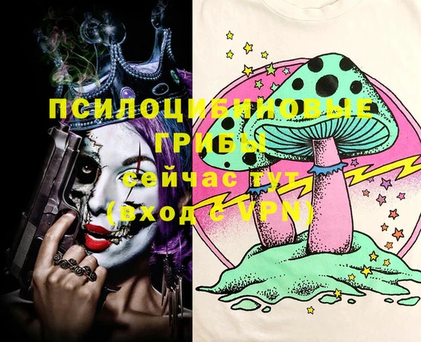 PSILOCYBIN Абдулино