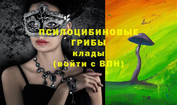 PSILOCYBIN Абдулино