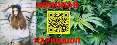 амф Нальчик