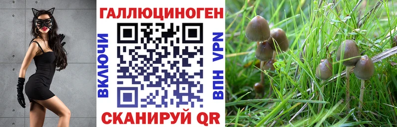 Псилоцибиновые грибы GOLDEN TEACHER  Южноуральск 