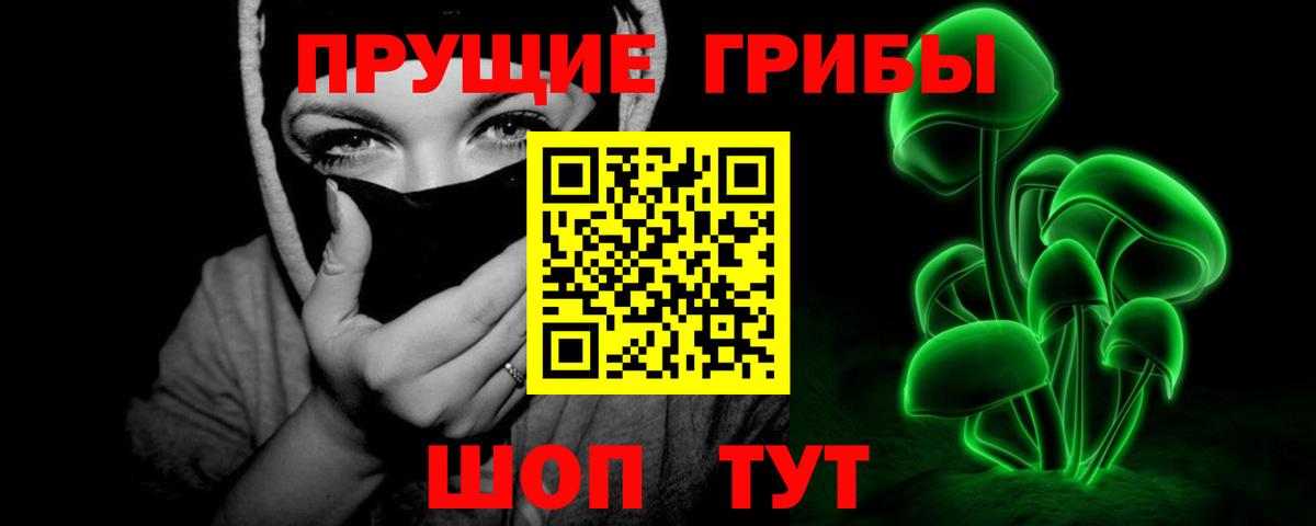 Псилоцибиновые грибы Cubensis Южноуральск